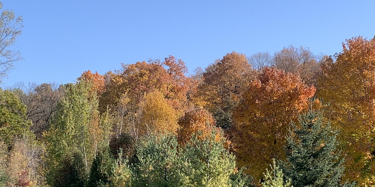 Best Wisconsin Fall Colors This Weekend: Top Views & Driving Routes