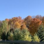 Best Wisconsin Fall Colors This Weekend: Top Views & Driving Routes