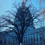 Finance Report: Wisconsin Democratic Lt. Governor in Continued Turmoil, Debt, and Unresolved Legal Questions