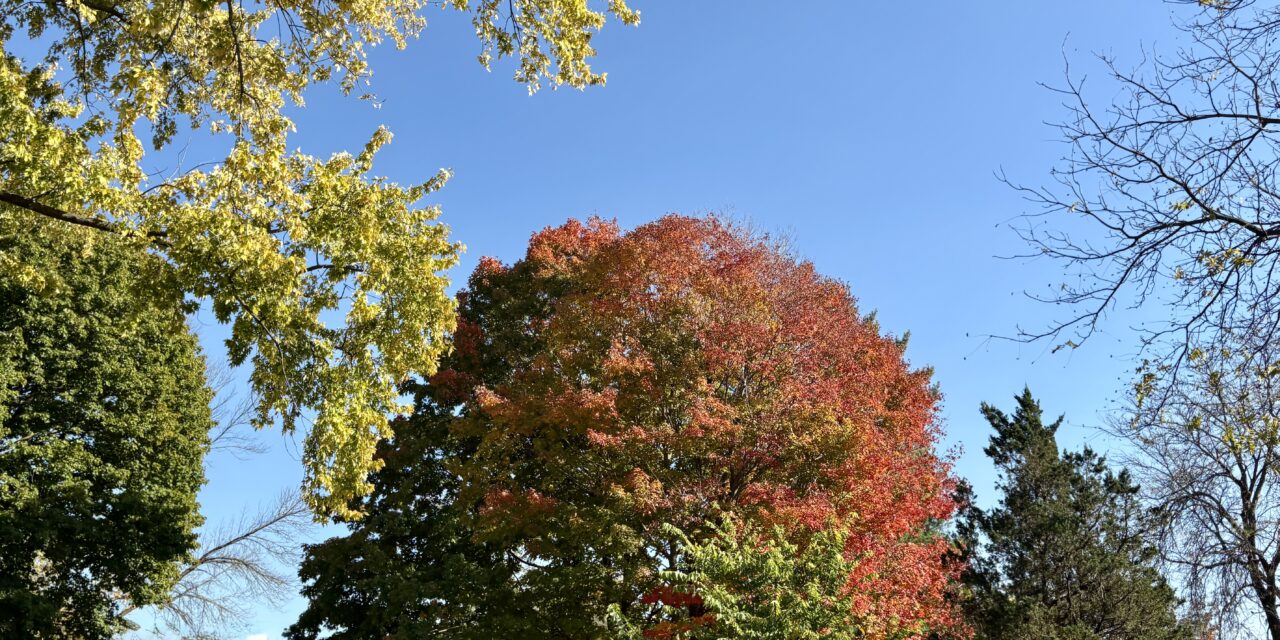 Best Wisconsin Fall Colors This Weekend: Peak Reaches Baraboo, Door County and the Lakeshore
