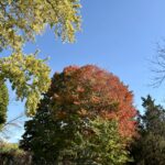Best Wisconsin Fall Colors This Weekend: Peak Reaches Baraboo, Door County and the Lakeshore