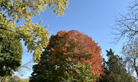 Best Wisconsin Fall Colors This Weekend: Peak Reaches Baraboo, Door County and the Lakeshore
