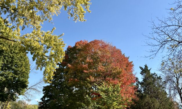 Best Wisconsin Fall Colors This Weekend: Peak Reaches Baraboo, Door County and the Lakeshore